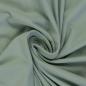 Preview: Swafing Vanessa Baumwoll Jersey Uni Altmint 262
